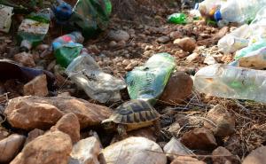 Nakon tri godine: Više od 30.000 boca izvađenih iz Neretve odvezeno na reciklažu