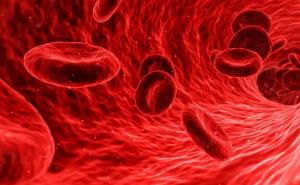 Ovo je zlatna krvna grupa: Ima je samo 43 ljudi na cijelom svijetu 