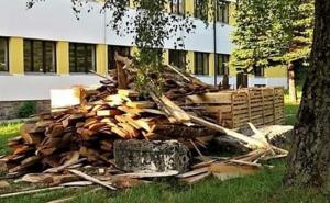 Glamoč: Drva istovarili na stećke iz trećeg vijeka