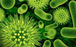 Naučnici pronašli način kako da unište virus prehlade?