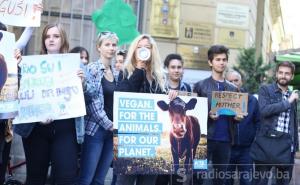 U Sarajevu protest protiv klimatskih promjena: "U BiH sve teče jako sporo"