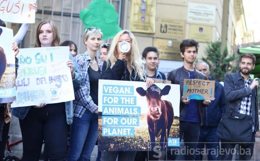 U Sarajevu protest protiv klimatskih promjena: "U BiH sve teče jako sporo"