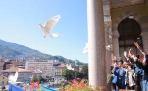 Poletjela golubica sa Baščaršije: Jato poletjelo s Vijećnice noseći poruke mira
