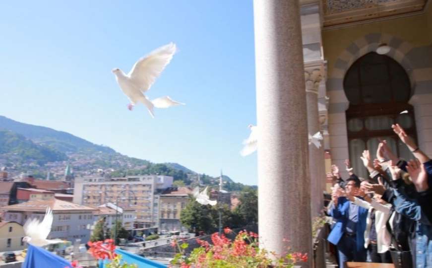 Poletjela golubica sa Baščaršije: Jato poletjelo s Vijećnice noseći poruke mira