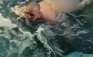 Muškarac malo popio, pa skočio u bazen sa ajkulama