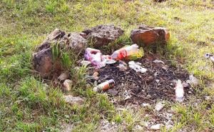 Da li je opravdano u Sarajevu izgraditi postrojenje za pretvaranje otpada u energiju