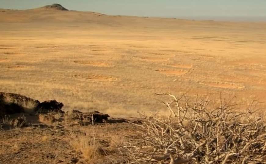 Misterija najstarije svjetske pustinje: Krugovima smrti niko se ne približava