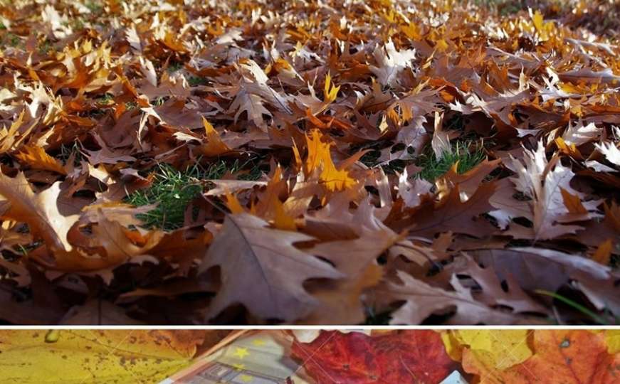 Jesen u Bosni i jesen u Njemačkoj