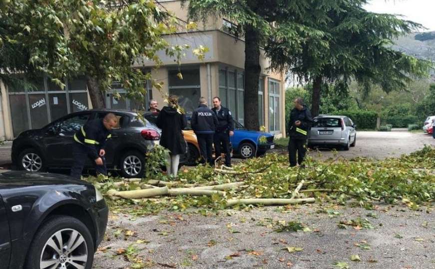 Nevrijeme poharalo dijelove Mostara: Srušeno drveće, oštećeni automobili