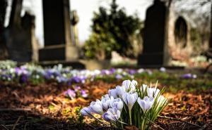 Ljudska tijela se pomjeraju i do godinu dana nakon smrti!