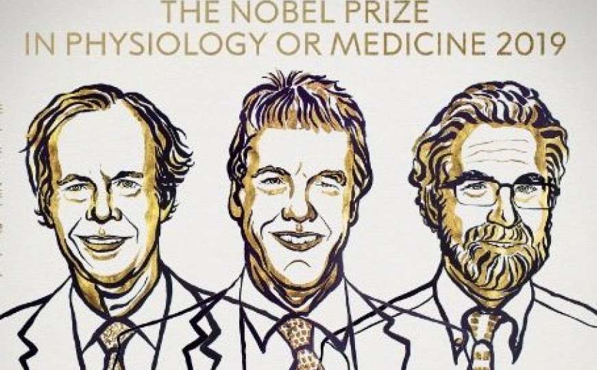Nobelova nagrada za medicinu za važna saznanja naučnika