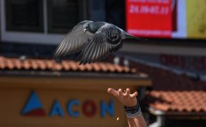 Kad stižu zahlađenje i kiša: Šta kaže prognoza za narednih 10 dana