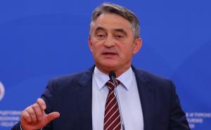 Komšić pisao Malmu: Dodjelom nagrade Handkeu Švedska akademija nauka negira genocid