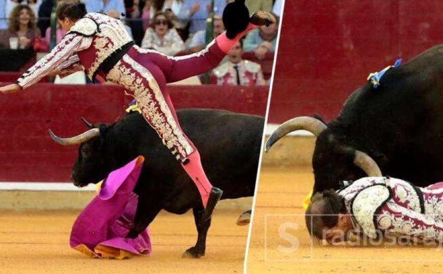 Uznemirujuće scene u Španiji: Bik teško povrijedio matadora