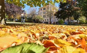 Oaza mira usred gradske vreve: Jesenji dan u parku kod Druge gimnazije