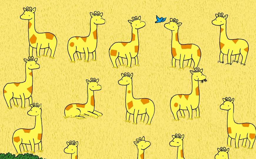 Imate li oči sokolove: Koja žirafa nema svoju dvojnicu?