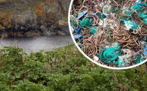 Riješen misterij hiljada gumica na izoliranom otoku