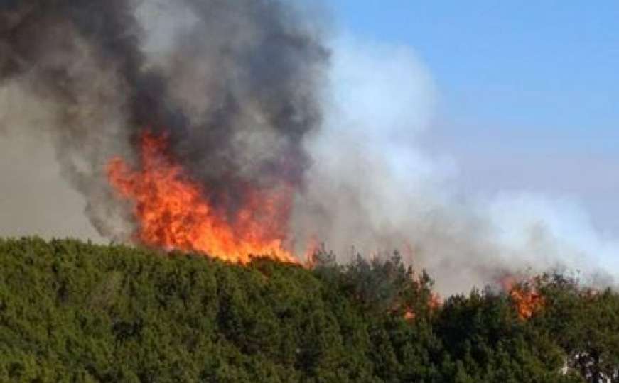Dramatično na Treskavici: Vatra zahvatila šumu, čeka se pomoć OS BiH