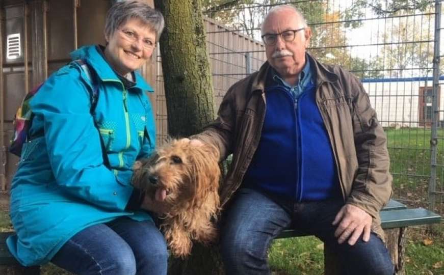 Emotivan susret: Pas vraćen vlasnicima nakon 11 godina