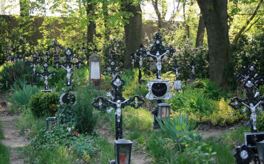 'Groblje bezimenih', vječno počivalište žrtava koje je izbacio Dunav