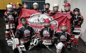 Uspjeh Medvjeda na hokejaškom turniru u Beogradu: U finalu ih zaustavila Olimpija