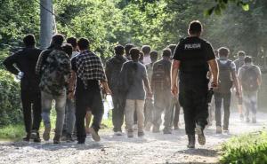 Migrantkinja se porodila u šumi kod Siska