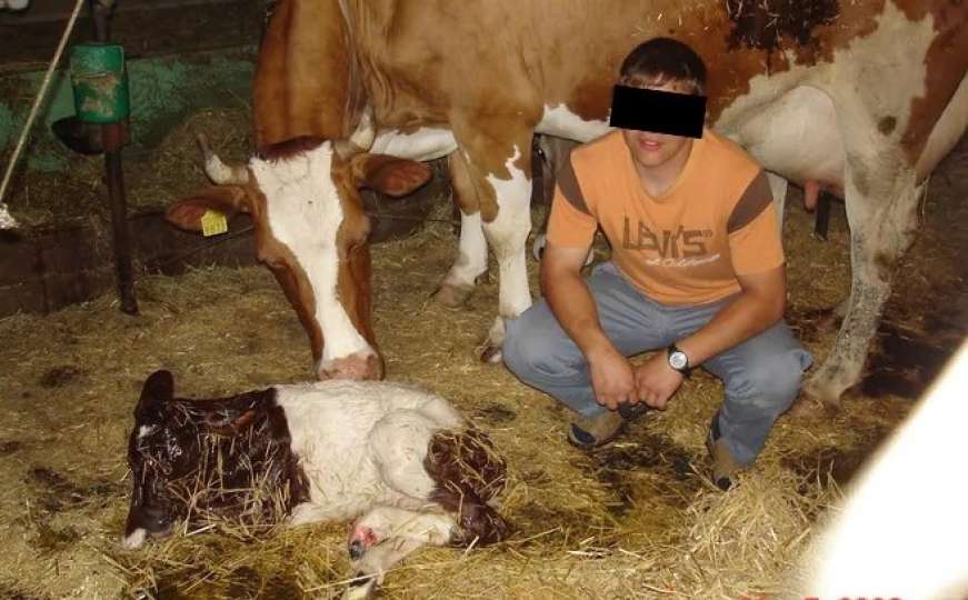 Iskušenje vrebalo u štali: Farmer godinama seksualno zlostavljao životinje