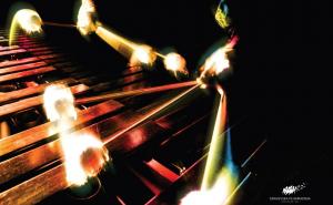 Sarajevska filharmonija i Nebojša Živković: U spomen na Irfana Kamenjaševića 