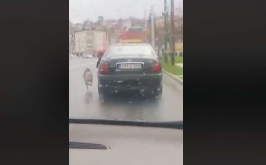 Gnusan čin u Sarajevu: Na povocu pokraj automobila vodio psa, građani ogorčeni 