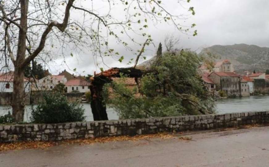 Olujno nevrijeme pogodilo Trebinje: Voda ušla u kuće, stabla polomljena