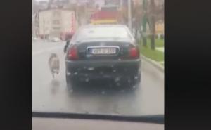 MUP KS identificirao osobu koja je psa vukla na povocu pored auta