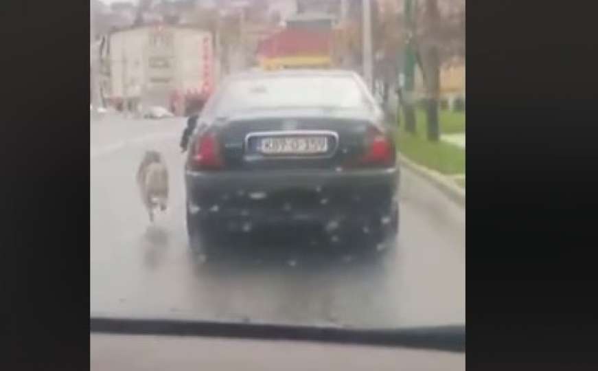 MUP KS identificirao osobu koja je psa vukla na povocu pored auta