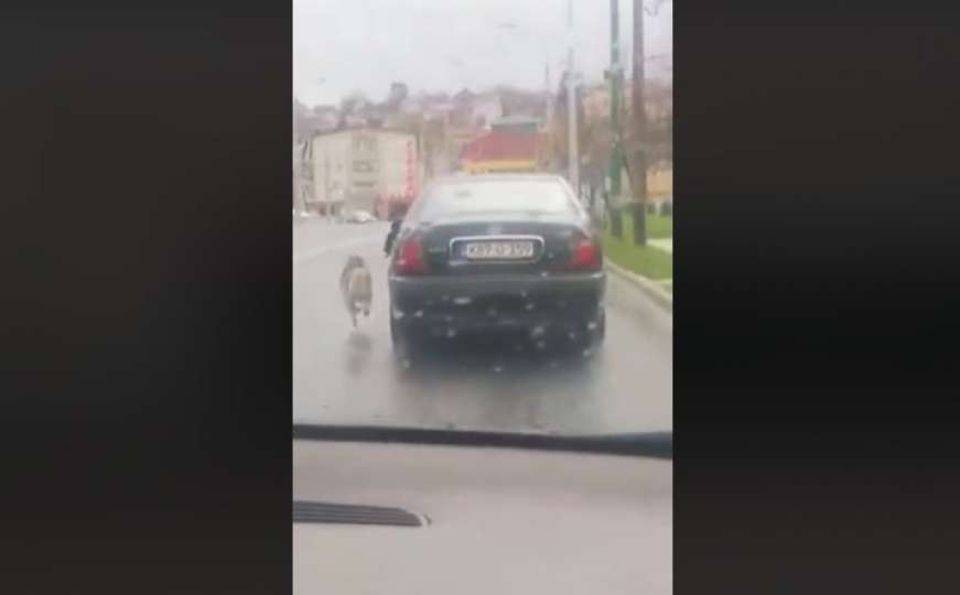 Vlasnik psa pokušao objasniti zbog čega ga je vodio na povocu pokraj vozila