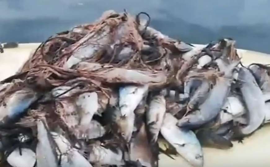 Nakon oluje u Dalmaciji: Ribari nisu mogli vjerovati šta su izvukli iz mreže