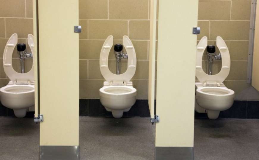 Konačno objašnjeno: Evo zašto daske u nekim WC-ima imaju oblik slova "U"