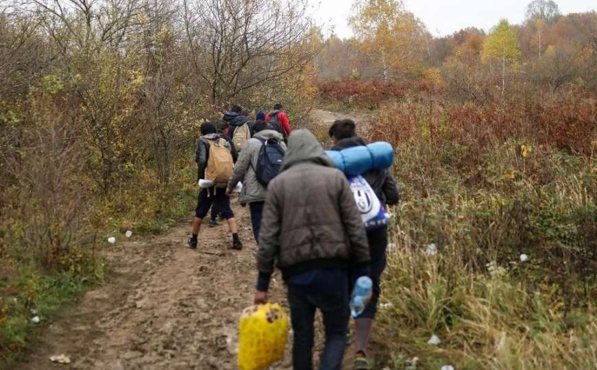 Zlobin: U šumi otkriven 71 ilegalni migrant, nijedan nije zatražio azil