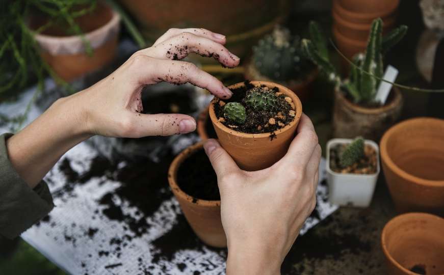 Vrtlarski trikovi: Zemlju za uzgoj ljekovitog bilja najbolje je kopati sada