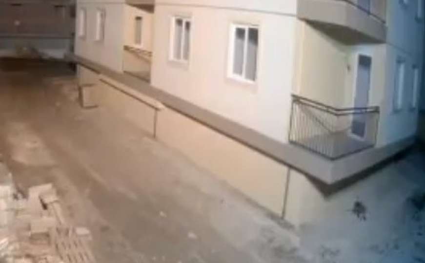  Pas predosjetio zemljotres u Albaniji pa brzinom svjetlosti istrčao iz zgrade