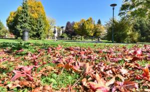 U Sarajevu jutros 12 stepeni: Objavljena prognoza i za dane vikenda