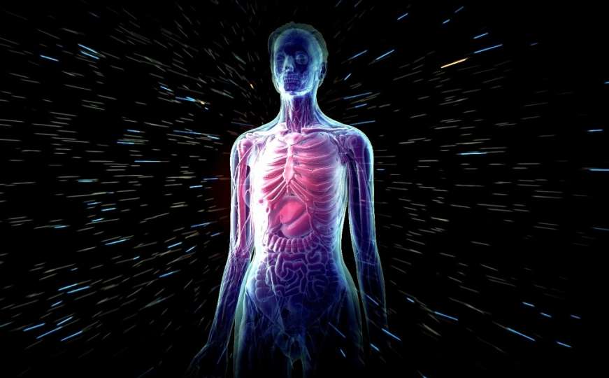 Čudesno otkriće naučnika: Ljudsko tijelo tri puta "mijenja brzinu" tokom života