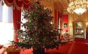 Idealno božićno drvce za svaki horoskopski znak