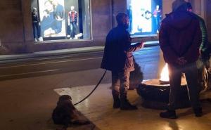 Sarajevo: Manijak koji je seksualno zlostavljao psa opet napada?