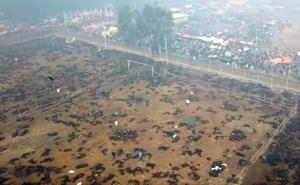 Uznemirujući snimak prikazao horor na festivalu Gadhimai