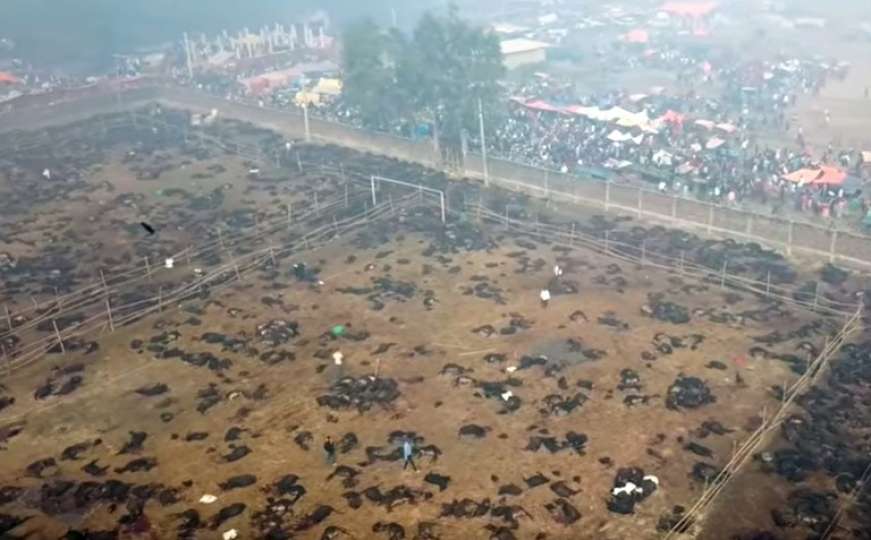 Uznemirujući snimak prikazao horor na festivalu Gadhimai