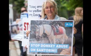 Upozorenje turistima: Nehumano tretiranje magaraca u Grčkoj će se novčano kažnjavati