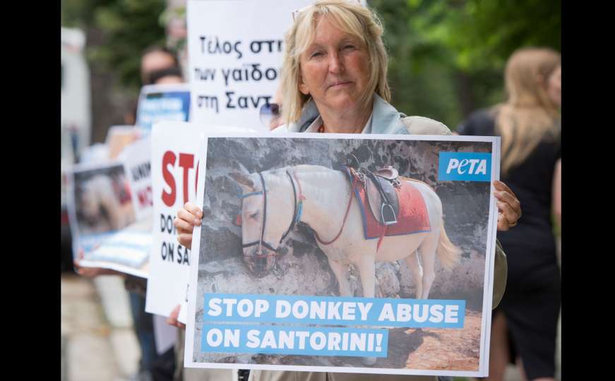 Upozorenje turistima: Nehumano tretiranje magaraca u Grčkoj će se novčano kažnjavati