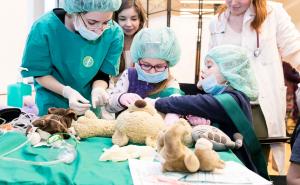 U Beču postoji bolnica za plišane igračke 