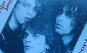 Bili smo luckast par: Divlje jagode i Ne želiš kraj