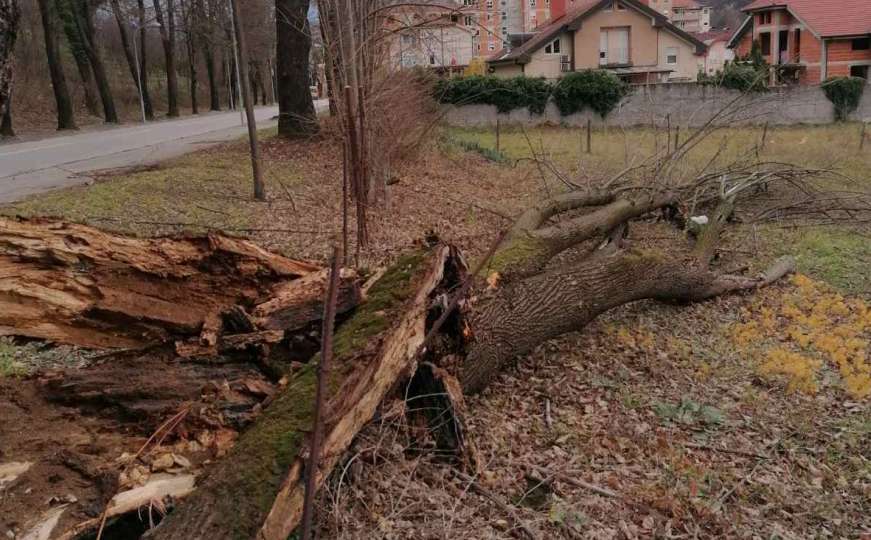 Nedim Sladić: Kada možemo očekivati prestanak olujnog vjetra u BiH?