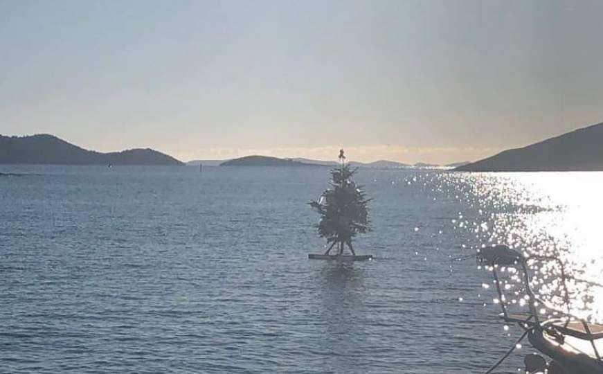 Kuda plovi ovaj bor: Božićni ugođaj na dalmatinski način
